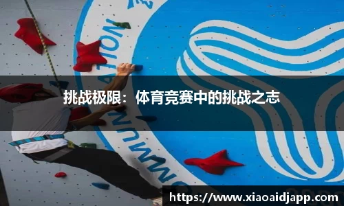 小艾电竞官方正版网站