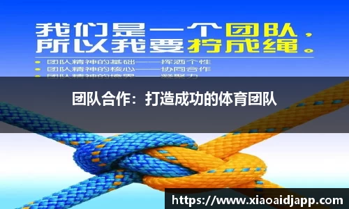 小艾电竞官方正版网站