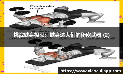 小艾电竞官网