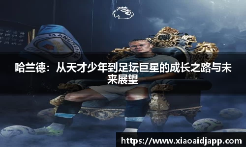 小艾电竞官网